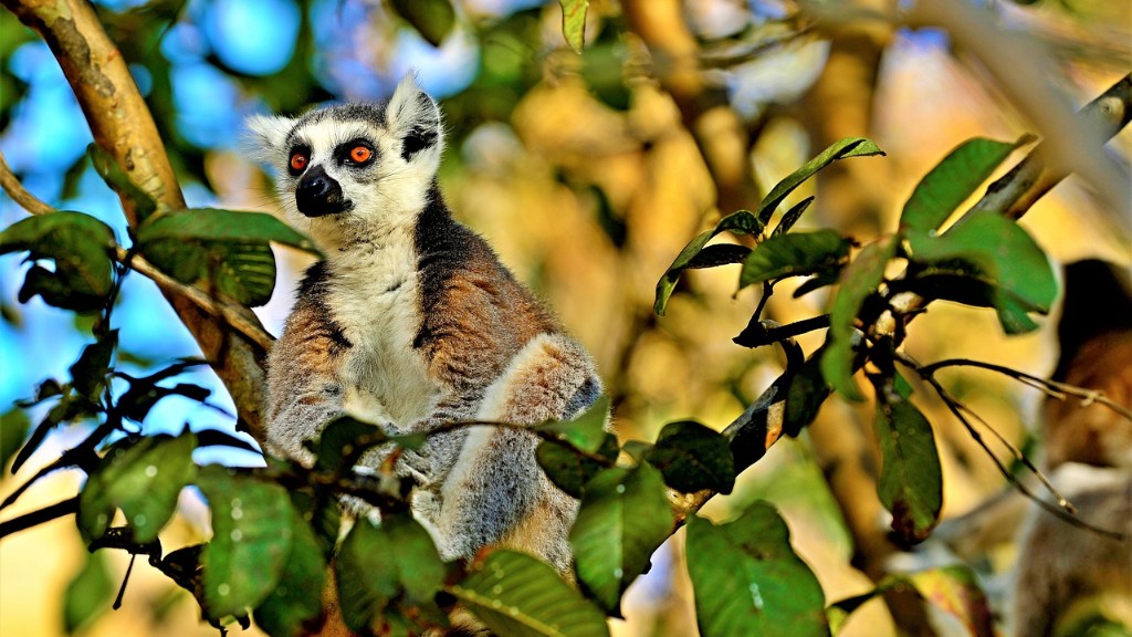 Welche Landformen gibt es in Madagaskar?